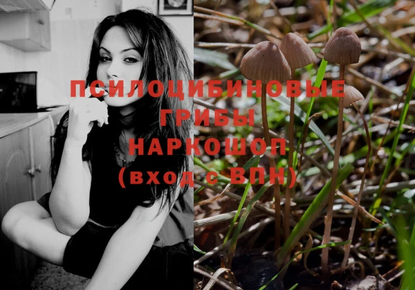 дурь Володарск