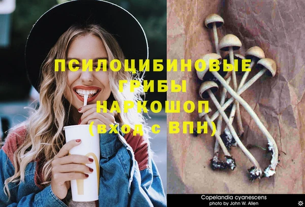 дурь Володарск