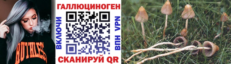OMG ТОР  где можно купить   Назарово  Псилоцибиновые грибы MAGIC MUSHROOMS 