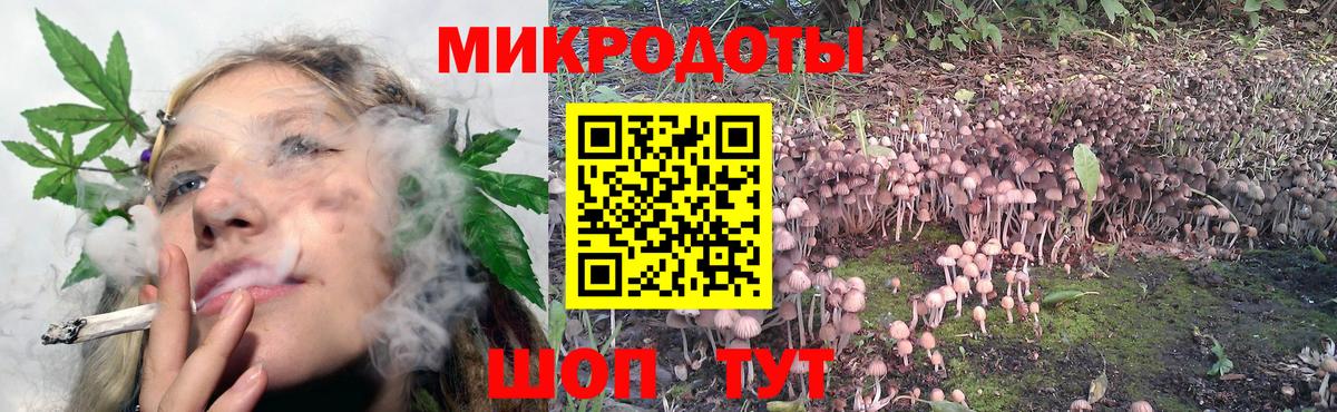 Галлюциногенные грибы мухоморы Назарово