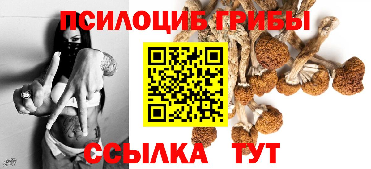 Галлюциногенные грибы мицелий  Вход с VPN  Назарово 